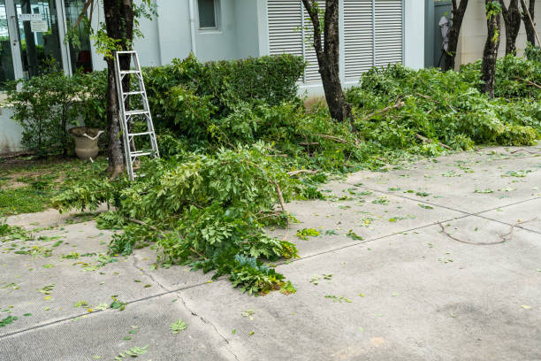 Best Storm Damage Tree Cleanup  in Navarre Beach, FL